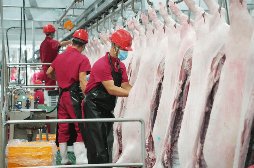 b0a4930f6a2dfdfa241648138de48f998eb7cf8a